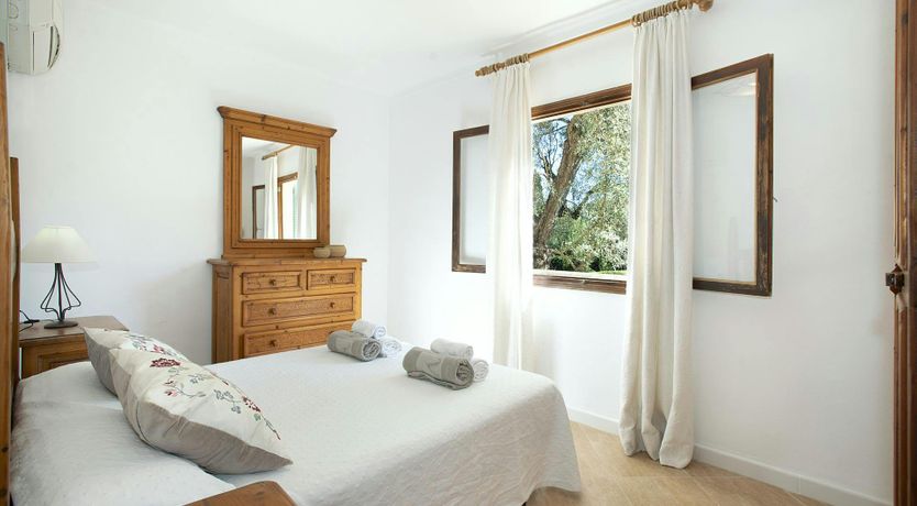 Photo of Olives and Palms