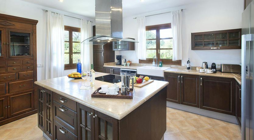 Photo of Olives and Palms