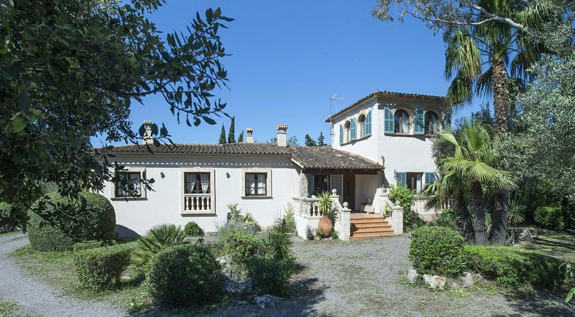 Photo of Olives and Palms
