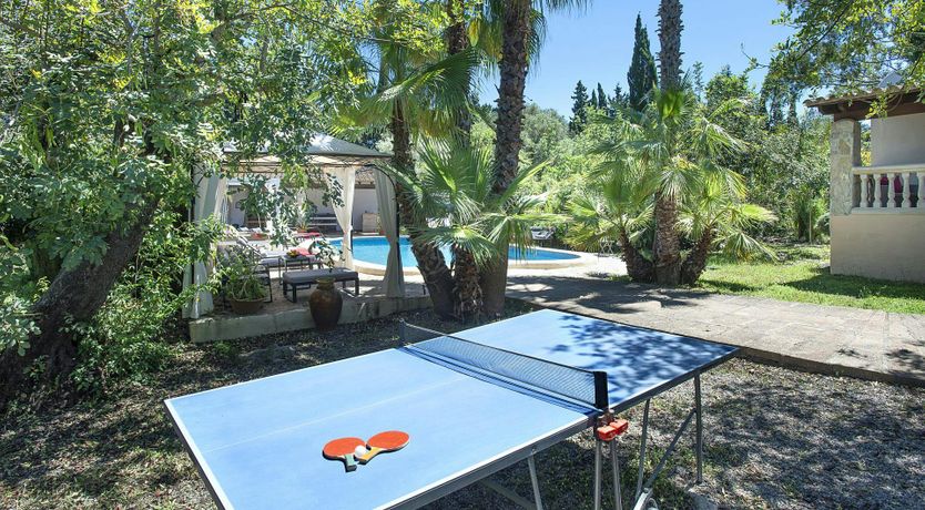 Photo of Olives and Palms