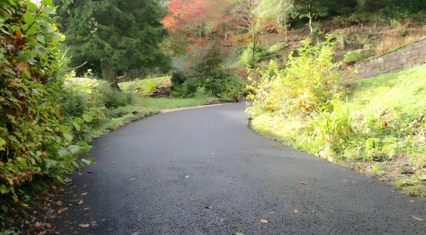 Photo of Exmoor Heather