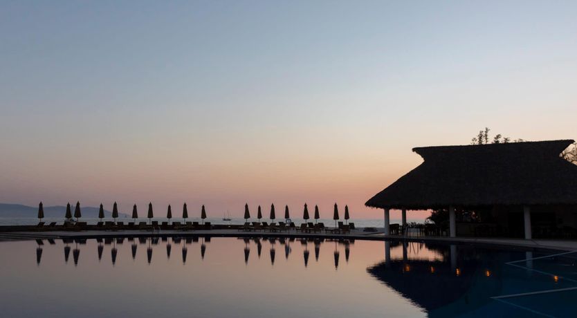 Photo of Ava and the Iguanas