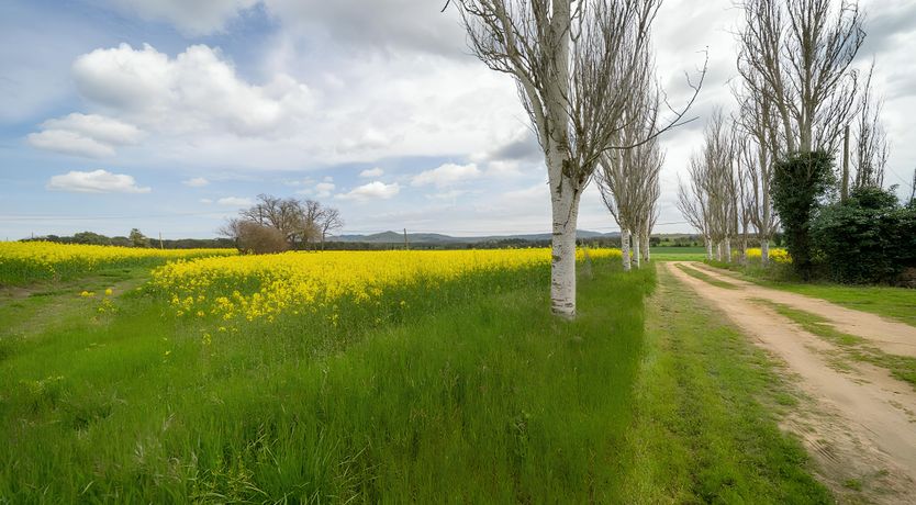 Photo of Blissful Sanctuary