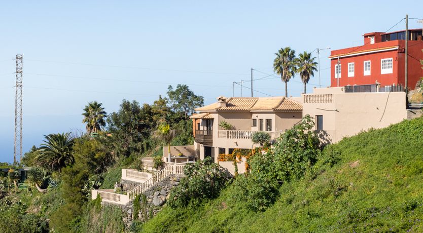 Photo of Blue & White Splendour