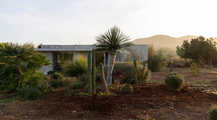 Photo of Secret Ibiza