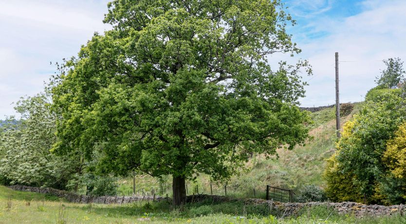 Photo of Cheshire Peak