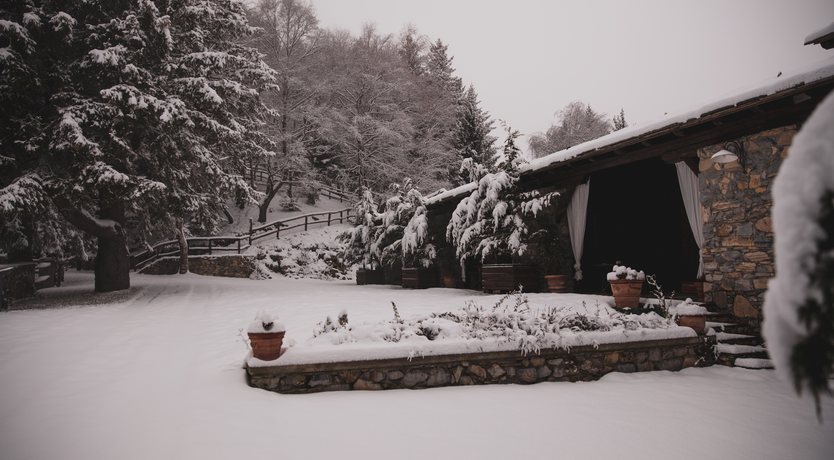 Photo of Forest View Chalet