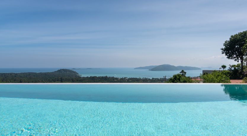 Photo of Jungle & Sea