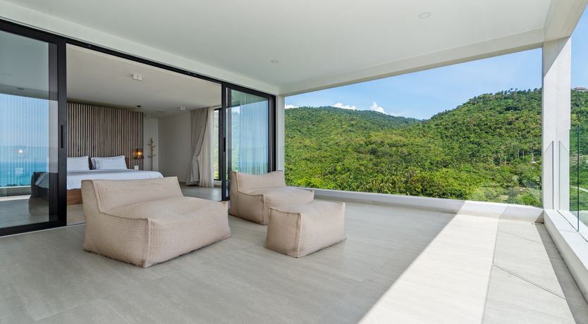 Photo of Jungle & Sea