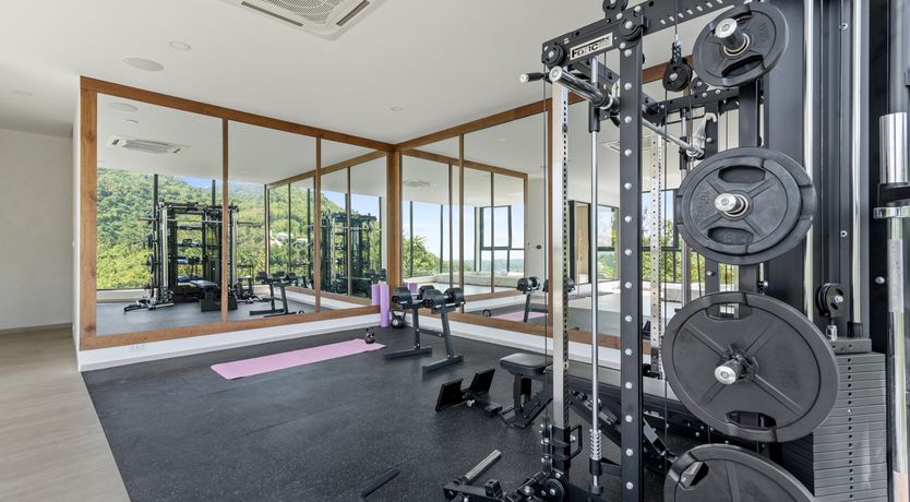 Photo of Jungle & Sea