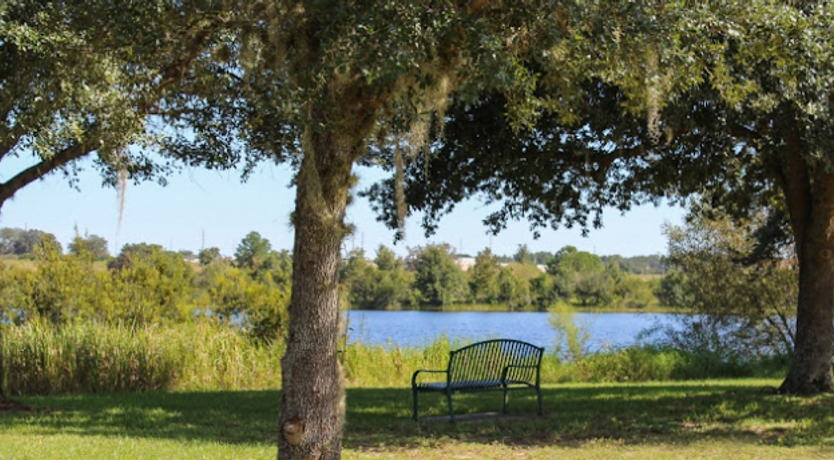 Photo of Citrus Lake