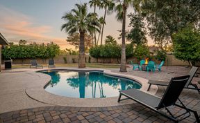 Photo of Sunny Phoenix Haven