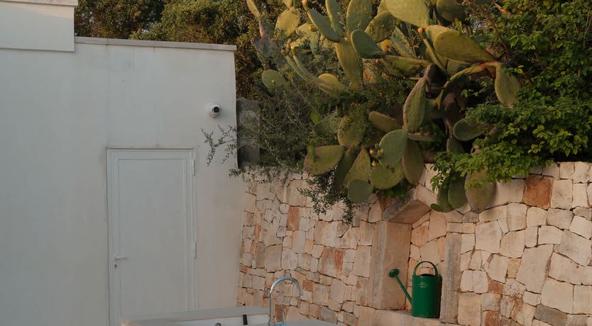 Photo of Olive Tree Terrace