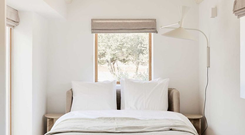 Photo of Olive Tree Terrace