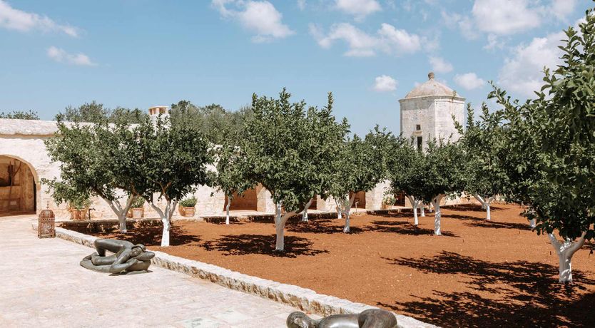 Photo of Sweet Orange Blossoms