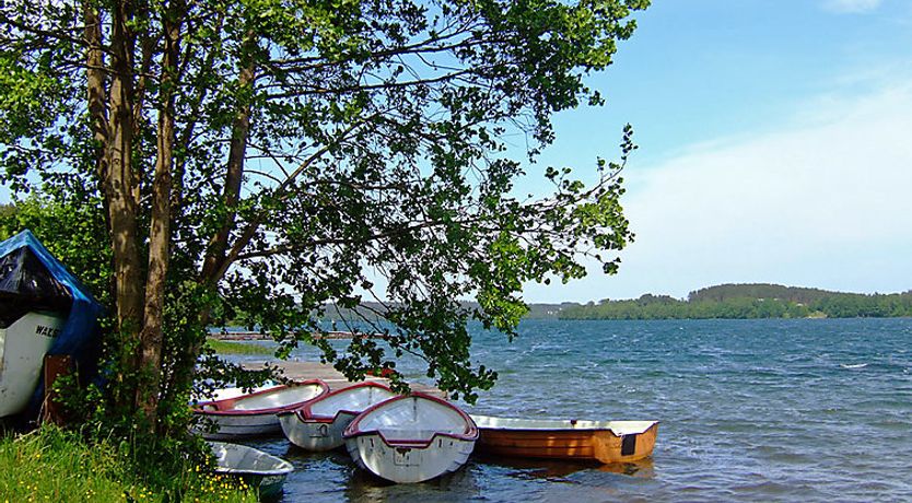 Photo of Trzy Brzozy