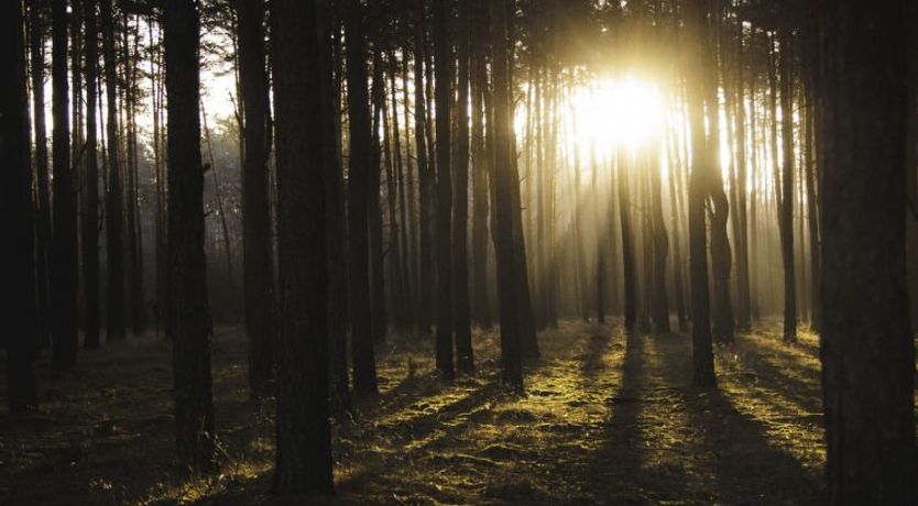 Photo of Stara Wieś Resort & Odnowa