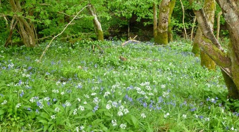Photo of Hendre Aled Cottage 3