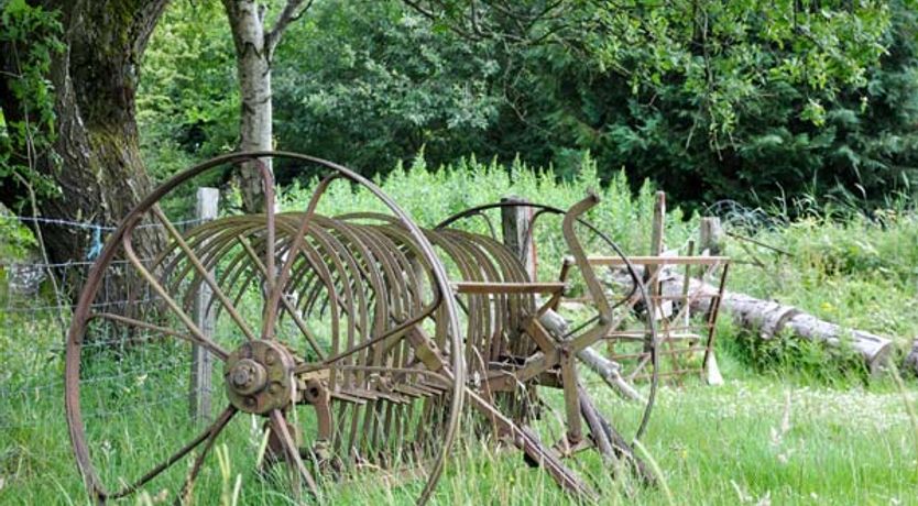 Photo of Hendre Aled Cottage 3