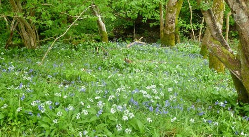 Photo of Hendre Aled Cottage 1