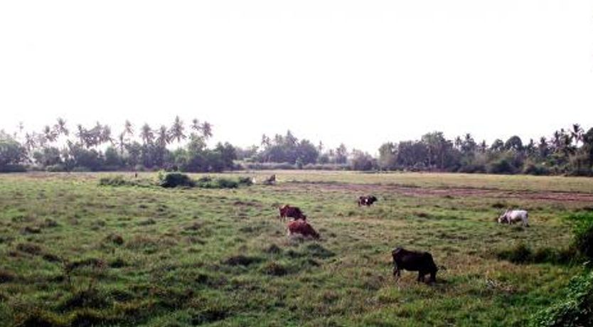 Photo of Sea Breeze Luxury Holiday Home