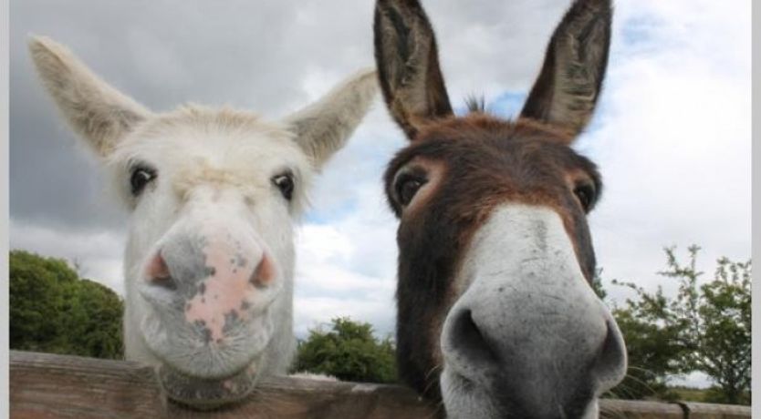 Photo of Frank's Cottage