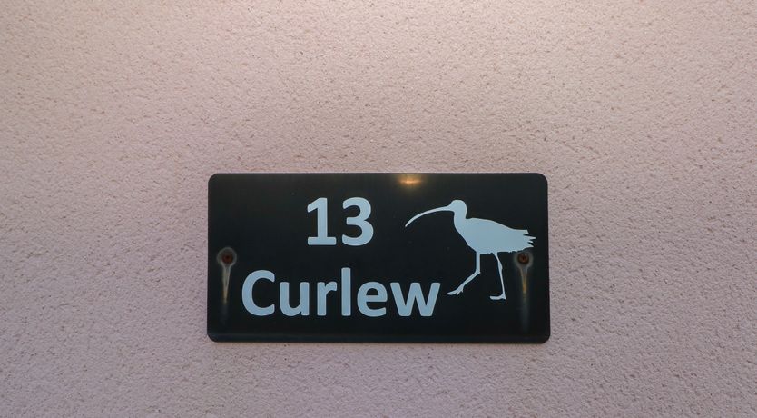 Photo of Curlew