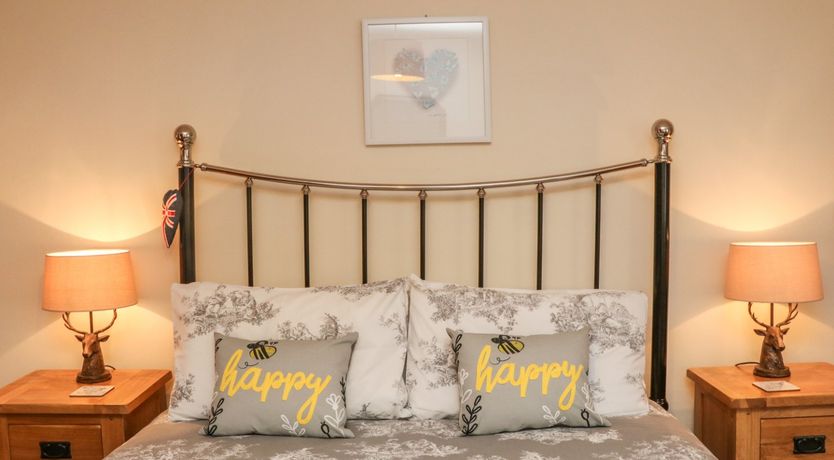 Photo of Little Dragons