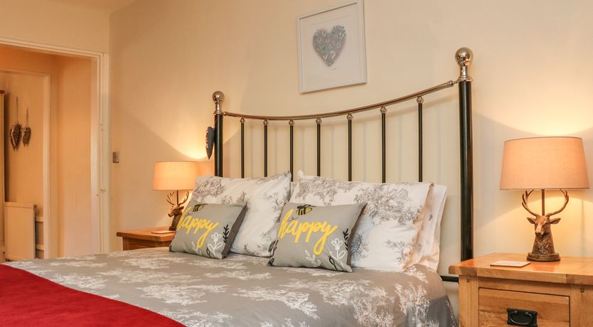 Photo of Little Dragons