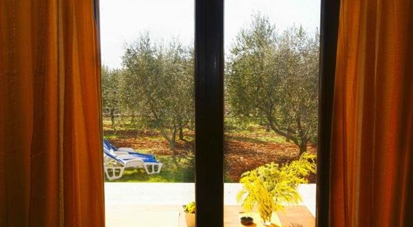 Photo of Apartments Orieta