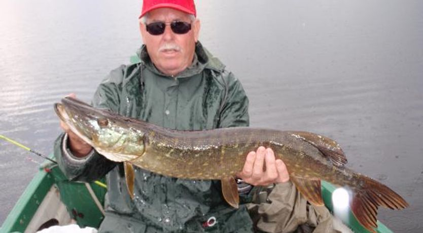 Photo of Clonandra Cottages Redhills