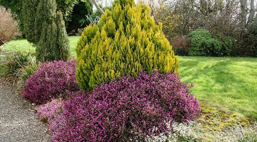 Photo of Billys Cottage