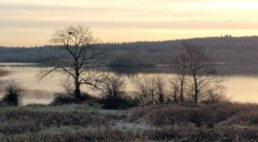 Photo of Island View