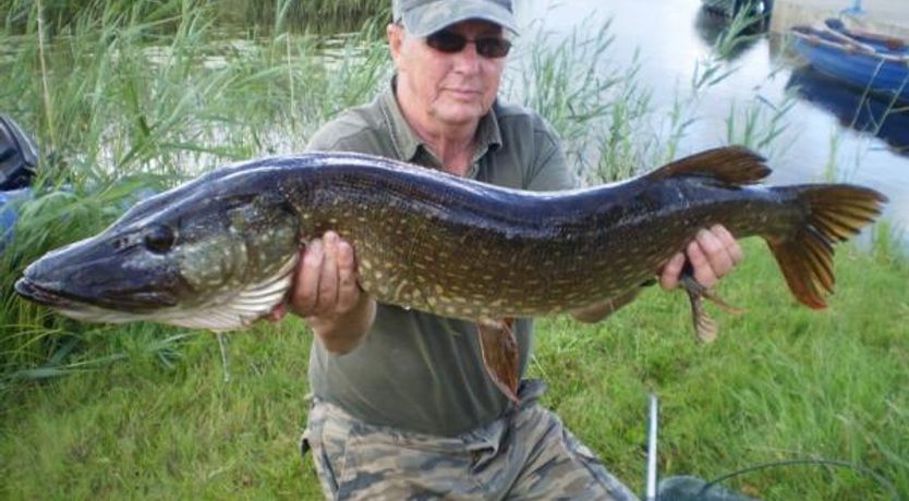 Photo of Mount Cashel Lodge