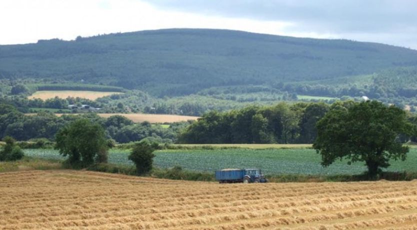 Photo of Sand Cottage