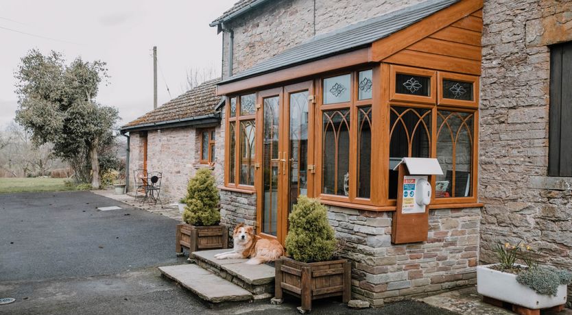 Photo of Stargazer's Loft