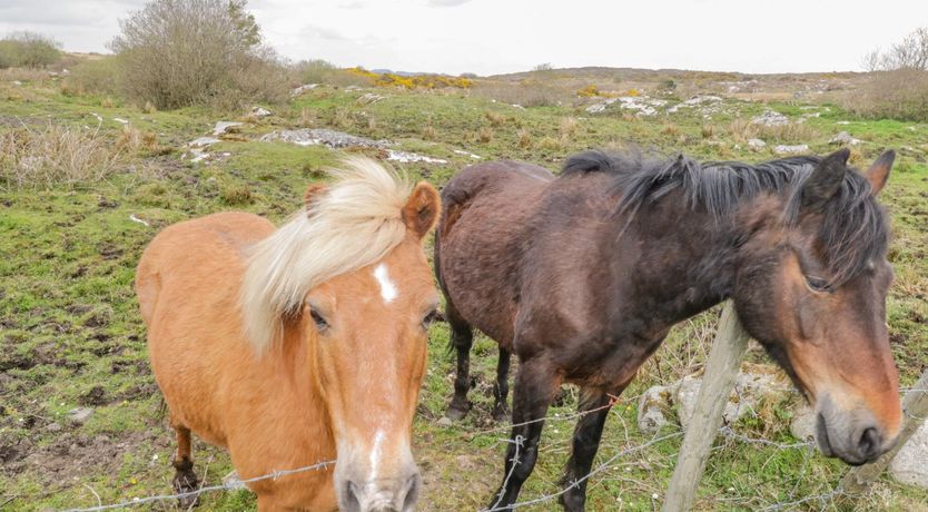 Photo of Mary Kate's Cottage