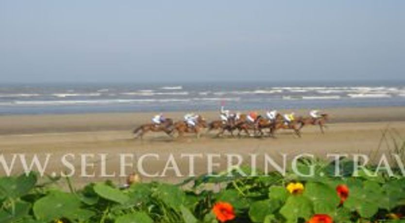 Photo of Thatchers Rest