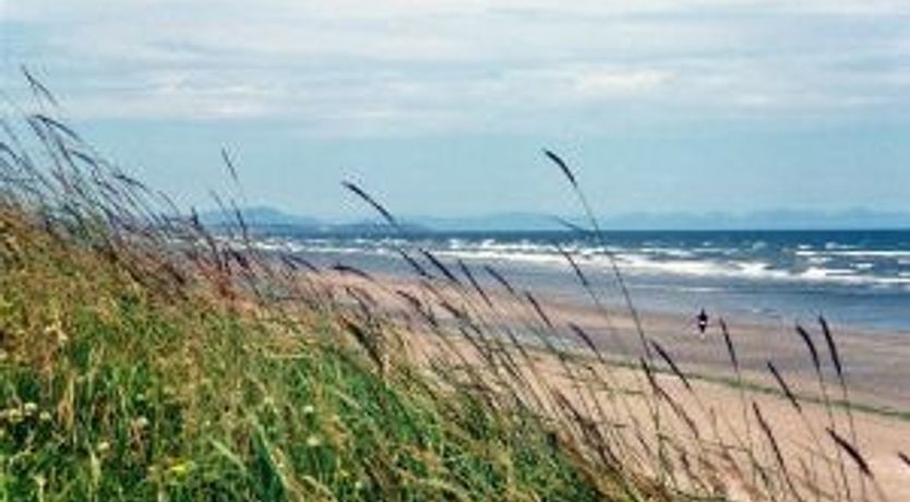 Photo of Thatchers Rest