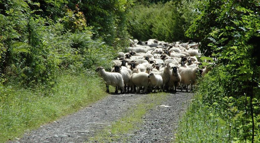 Photo of Temple House Gardeners Cottage