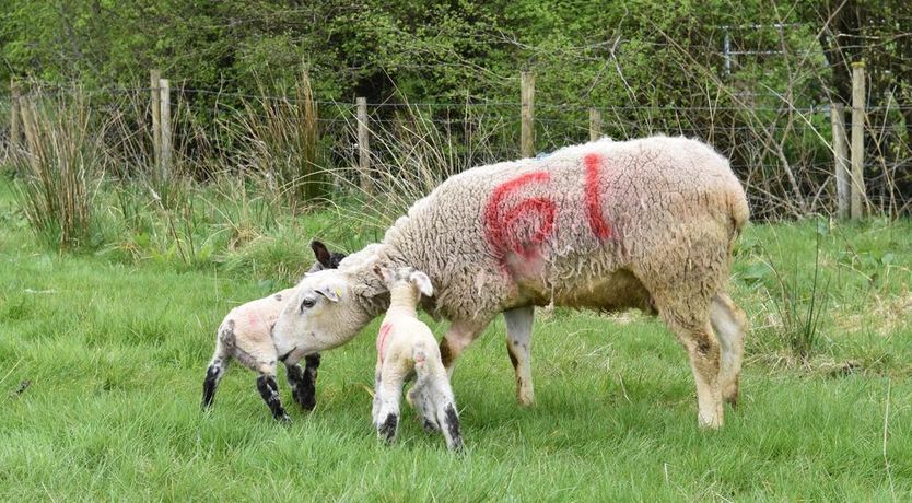 Photo of Temple House Gardeners Cottage