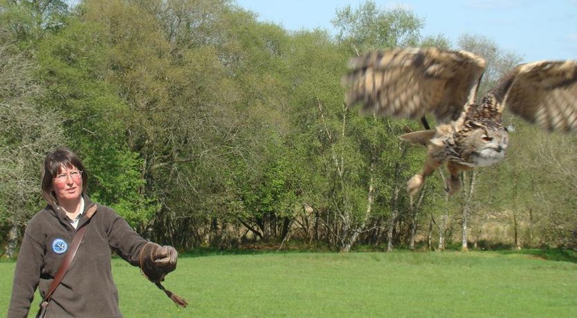 Photo of Temple House Gardeners Cottage