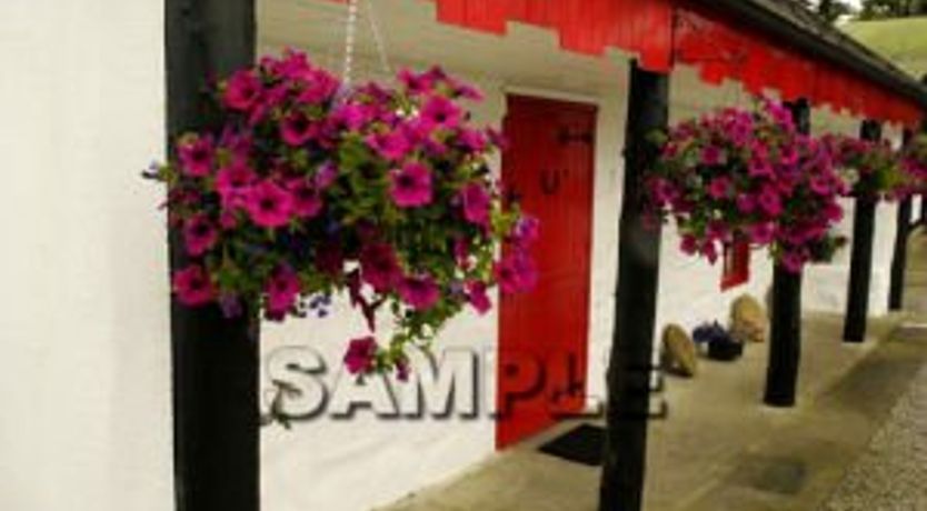 Photo of Shannon Breeze Cottage