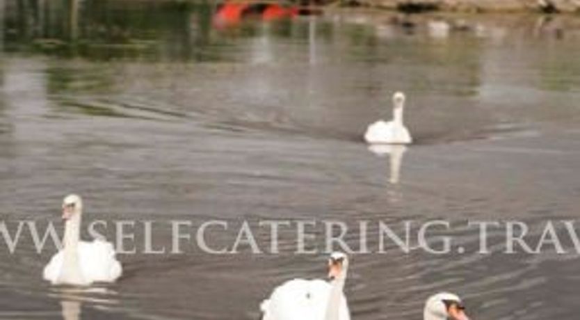 Photo of Shannon Breeze Cottage