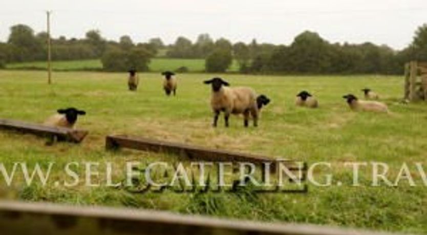 Photo of Shannon Breeze Cottage