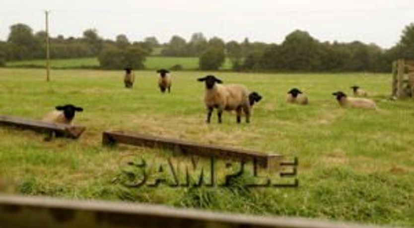Photo of Shannon Breeze Cottage