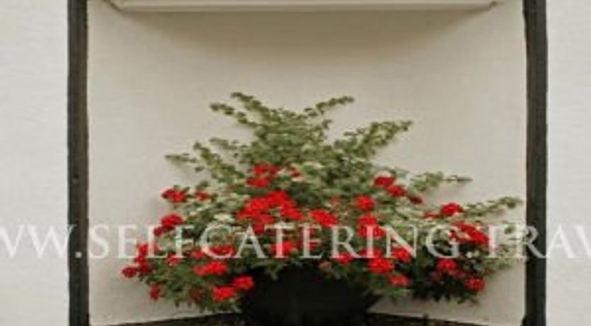 Photo of Shannon Breeze Cottage