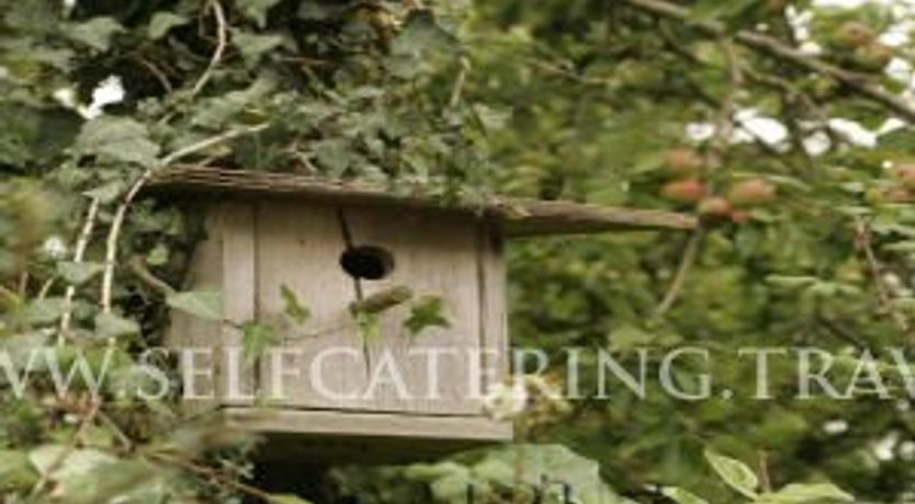 Photo of Shannon Breeze Cottage