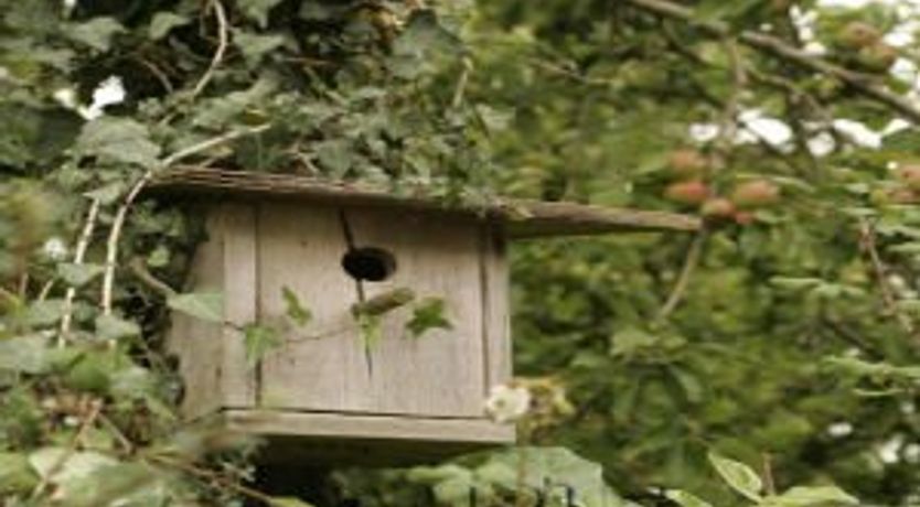 Photo of Shannon Breeze Cottage