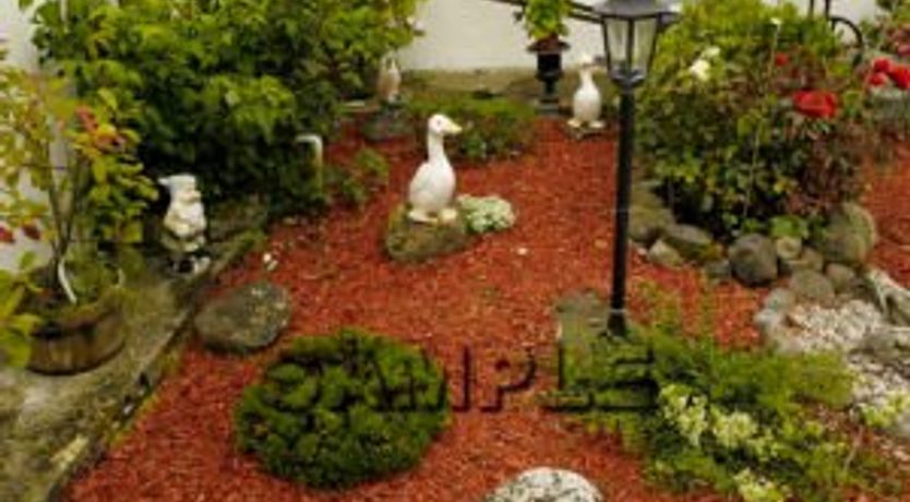 Photo of Shannon Breeze Cottage